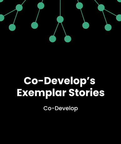 Co-Develop’s Exemplar Stories